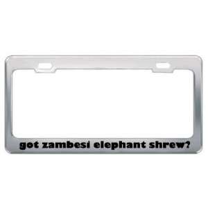 Got Zambesi Elephant Shrew? Animals Pets Metal License Plate Frame 