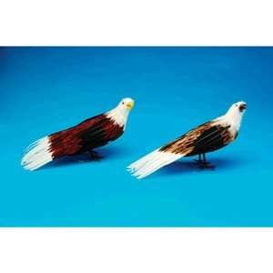 Feather Bald Eagle (Assorted Colors) Prop 