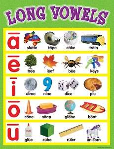 LONG VOWELS Phonics Reading Poster Chart TCR NEW  