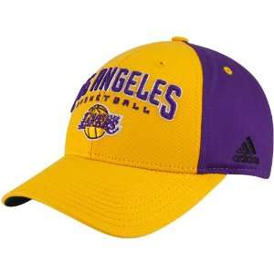  adidas Los Angeles Lakers Purple Gold Brotherhood 