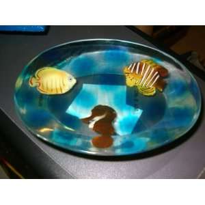  New, Chf & You, Soap Dish, Fish & Seahorse: Home & Kitchen