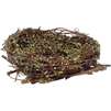 Hand Woven Natural Twig Nest D5   57697  