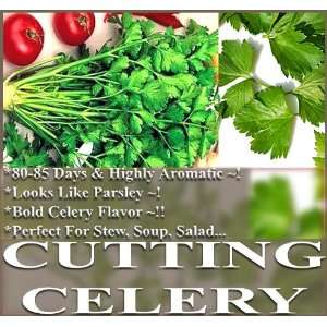   SEEDS ~ CUTTING CELERY LEAF LEAVES PERFECT FOR COOKING, SOUP SALAD
