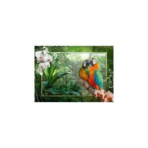  Cozy Macaws   1000 Pieces Jigsaw Puzzle Toys & Games