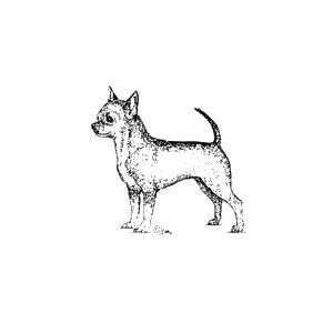  Chihuahua Rubber Stamp