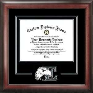 Eastern Michigan Eagles Spirit Diploma Frame  Sports 