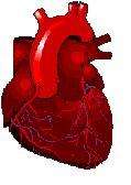 Cardiac Heart Sounds Training EKG DVD + Practice Exam  