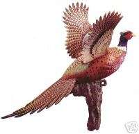 Roooooster Pheasant Wall Mount, FREE SHIPPING!  