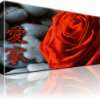 Rote Rose / Blume Bilder auf Leinwand mit Keilrahmen ! Schwarz Weiß 