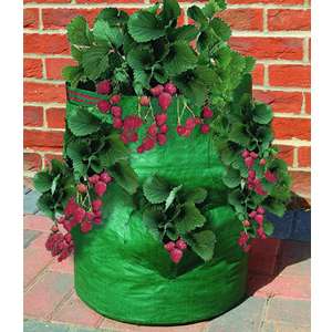 Strawberry/Herb Planter Bag  