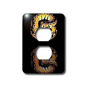  Snakes   Ball Python   Light Switch Covers   2 plug outlet 