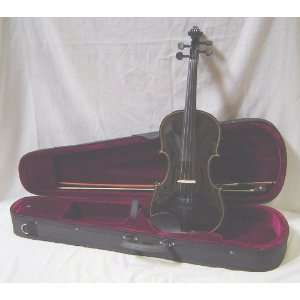   Carrying Case + Bow + Accessories  Black Color Musical Instruments