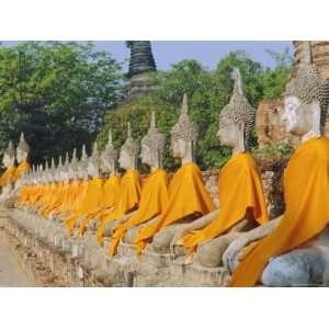  Line of Seated Buddha Statues, Wat Yai Chai Mongkon 