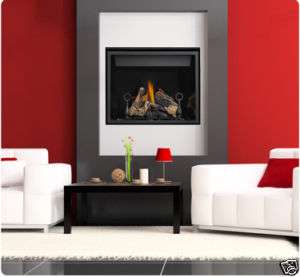 NEW Napoleon Direct Vent Clean Face Gas Fireplace HD40 ~  