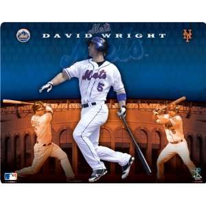 David Wright   New York Mets skin for Nintendo DS Lite