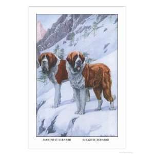  Bernards Animals Giclee Poster Print by Louis Agassiz Fuertes, 24x32