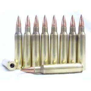 223 / 5.56 Dummy ammo, dummy bullets, AR   15 S&W RRA Bushmaster DPMS 