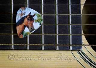 24 LOT Pick Chick HORSE PONY Equestrian Medium Celluloid GUITAR PICKS 