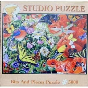  Studio Puzzle   Bits and Pieces Puzzle 3000   Birds and 