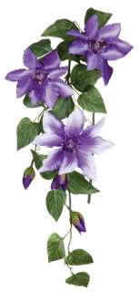   clematis vines make a beautiful addition to floral arrangements