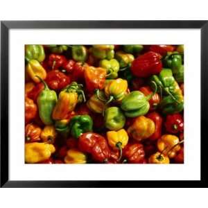  Capsicums at Brixton Market, Brixton, London, England 