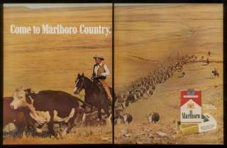 1972 cowboy Marlboro Man cattle drive photo cigarette ad  