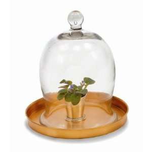  Achla Designs VBJ 01 Small Bell Jar Patio, Lawn & Garden