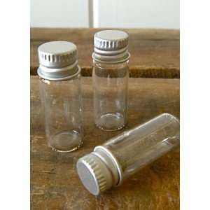  10 Pcs  Miniature Glass Bottles with Silver Lids  No 26 