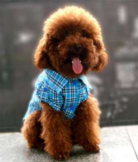 Pet Dog Clothes Fasion Puppy Apparel check T Shirt Blue  