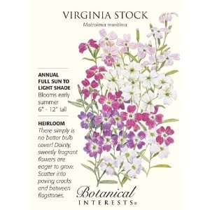  Virginia Stock Seeds   1.25 grams   Annual Patio, Lawn & Garden